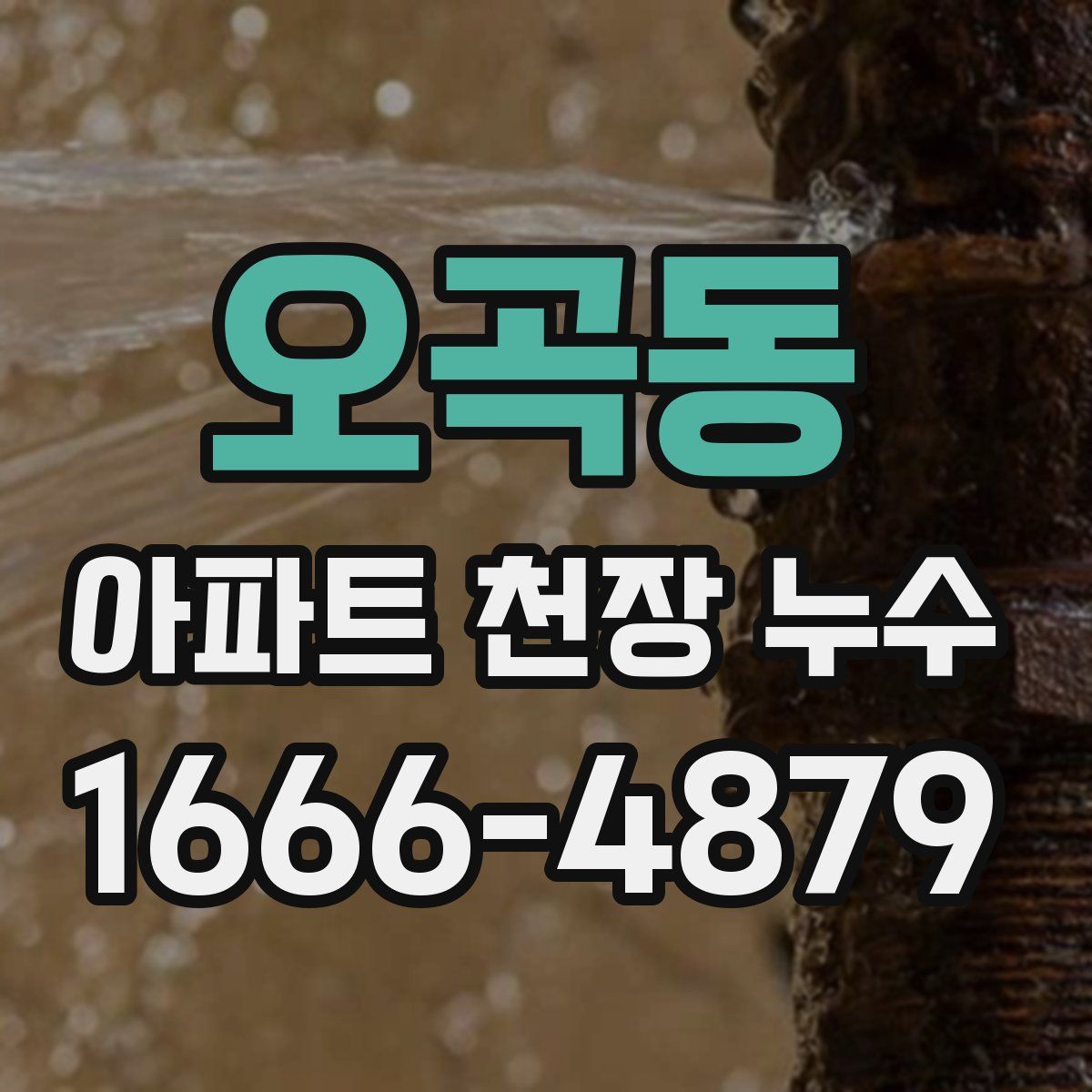 오곡동 아파트 천장 누수