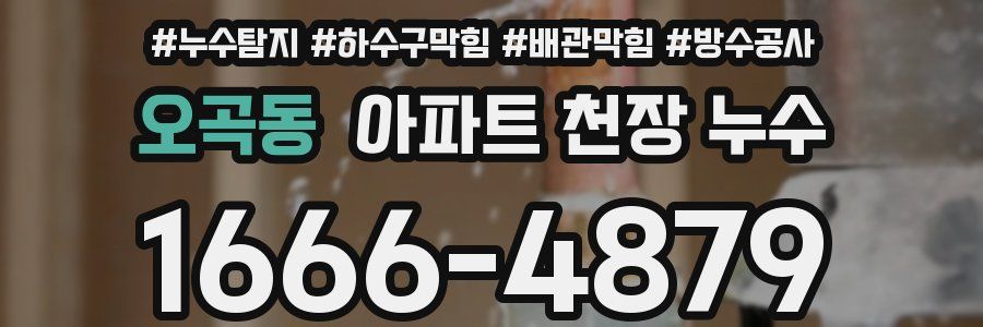 오곡동 아파트 천장 누수