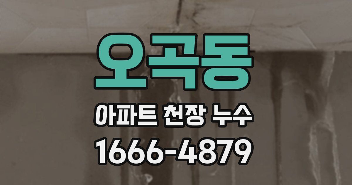 오곡동 아파트 천장 누수