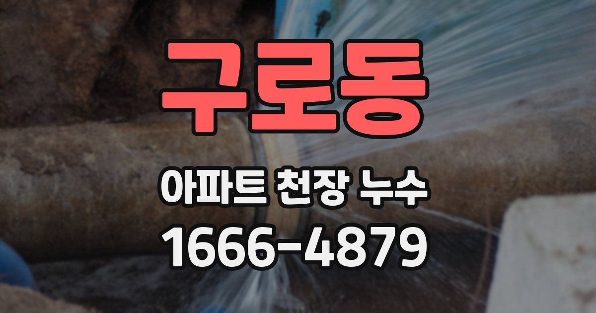 구로동 아파트 천장 누수