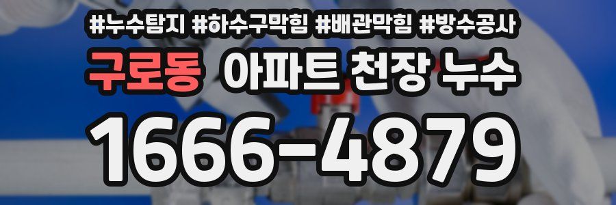 구로동 아파트 천장 누수