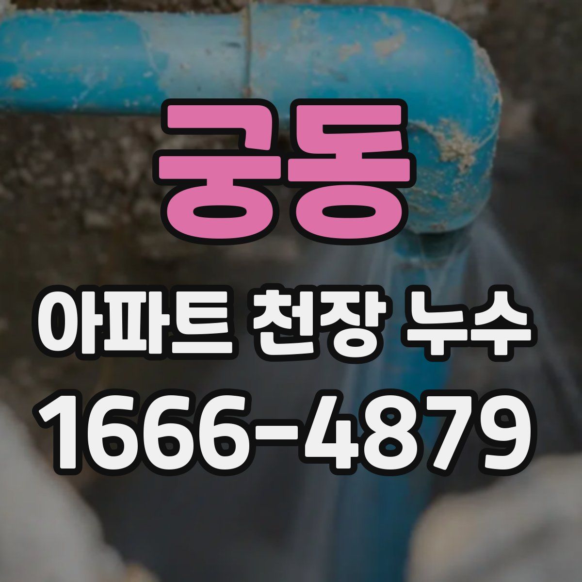 궁동 아파트 천장 누수