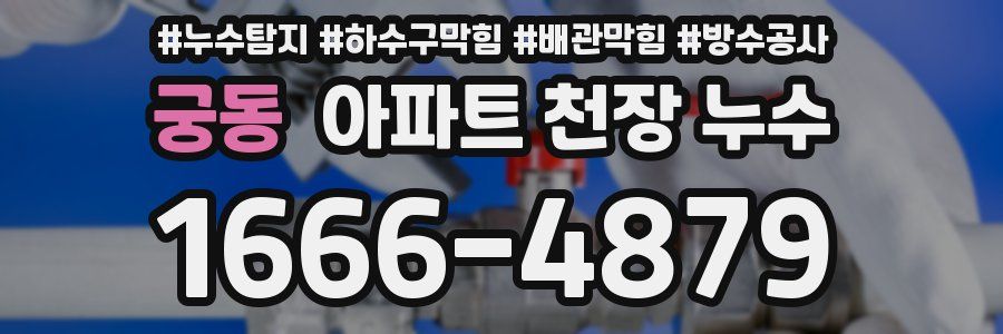 궁동 아파트 천장 누수
