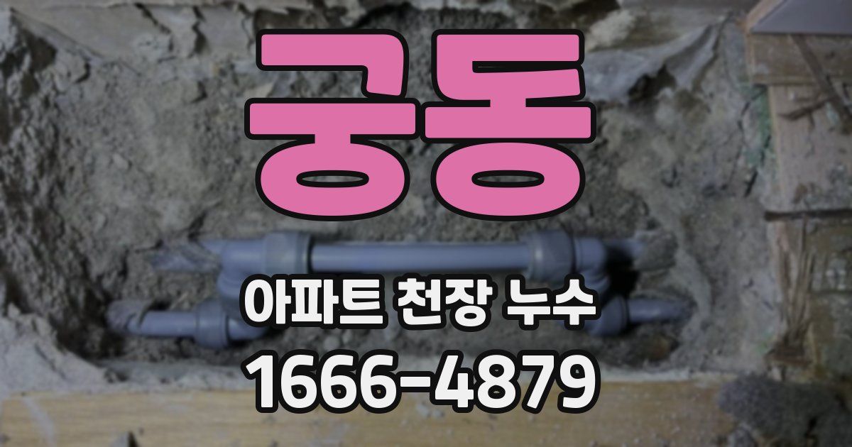궁동 아파트 천장 누수