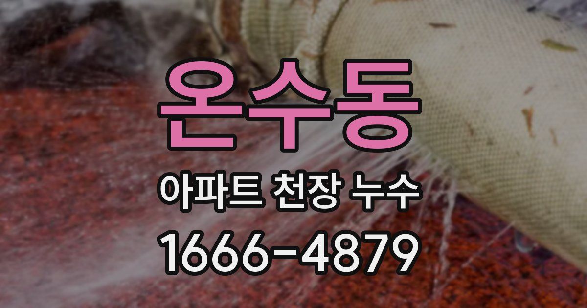 온수동 아파트 천장 누수