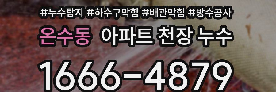 온수동 아파트 천장 누수