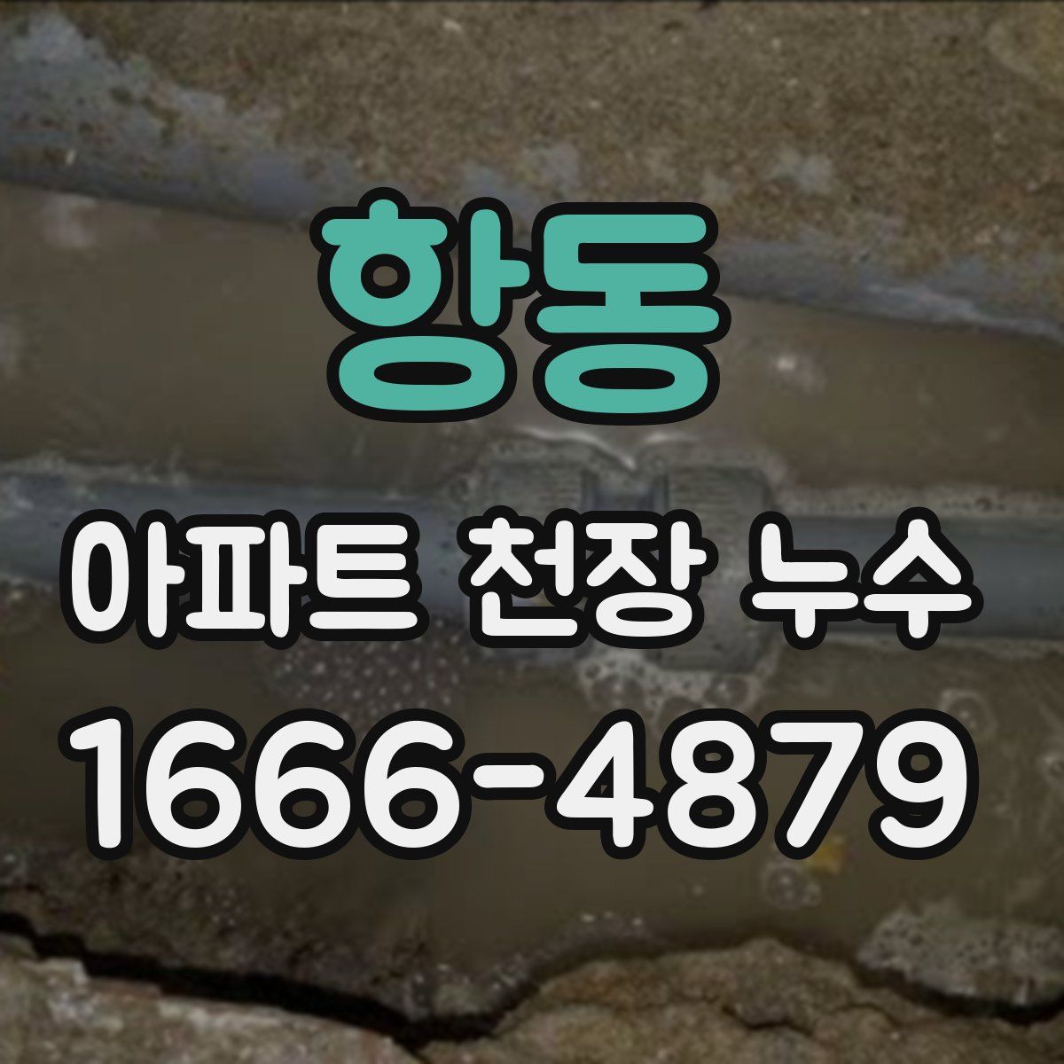 항동 아파트 천장 누수