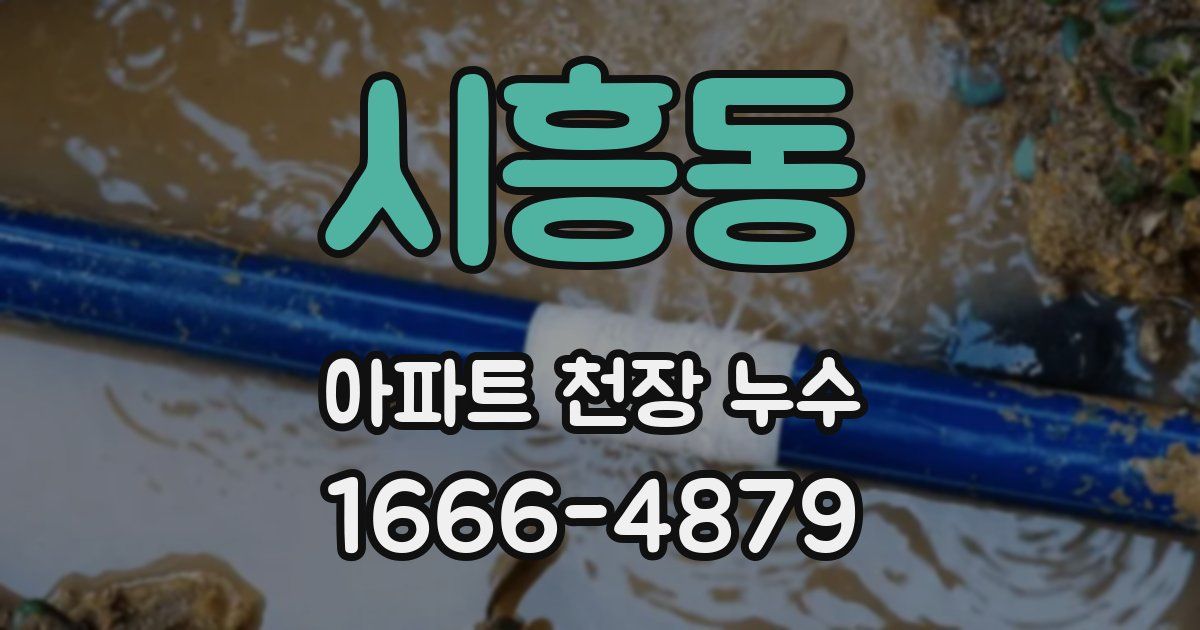 시흥동 아파트 천장 누수