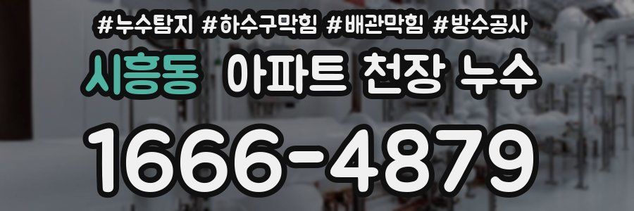 시흥동 아파트 천장 누수