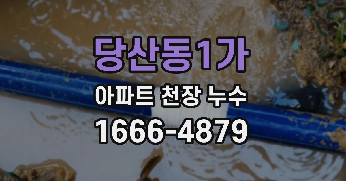 당산동1가 아파트 천장 누수