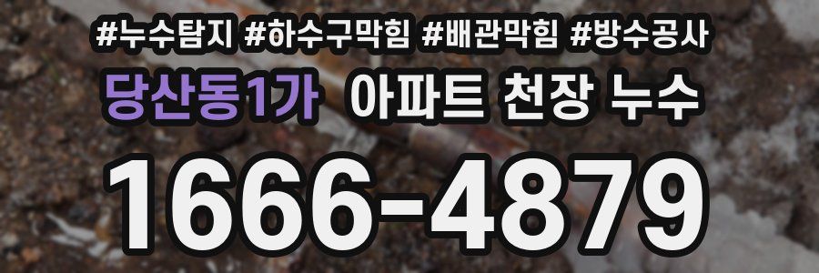 당산동1가 아파트 천장 누수