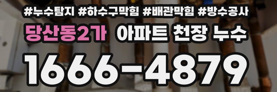 당산동2가 아파트 천장 누수