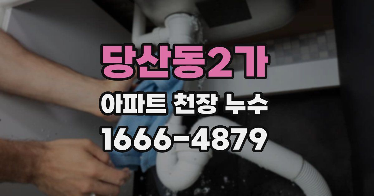 당산동2가 아파트 천장 누수