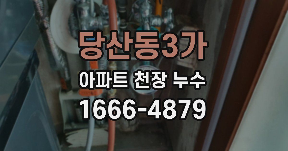 당산동3가 아파트 천장 누수