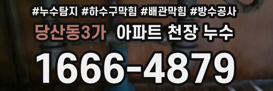 당산동3가 아파트 천장 누수