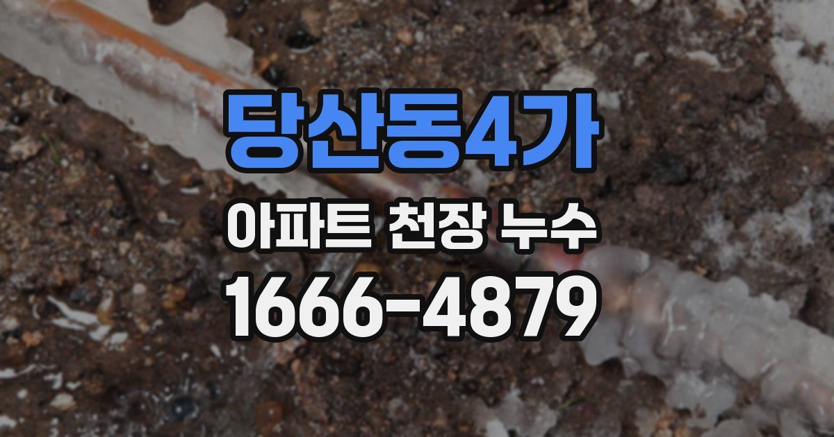 당산동4가 아파트 천장 누수