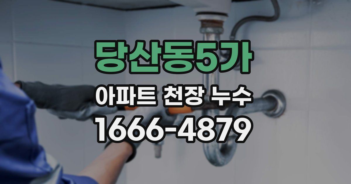 당산동5가 아파트 천장 누수
