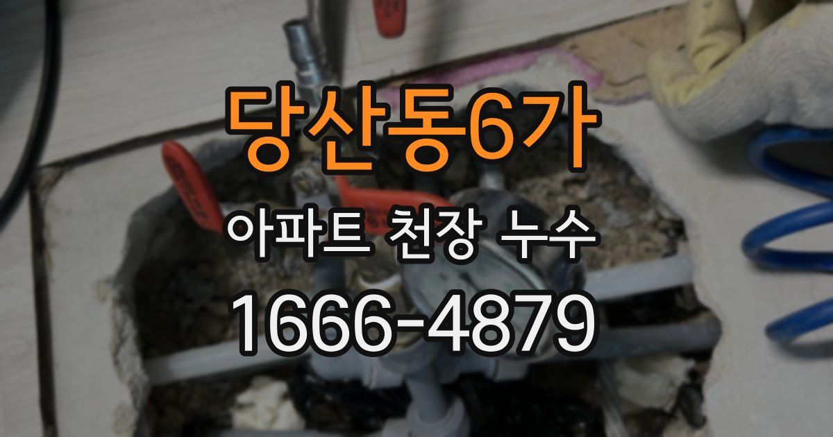 당산동6가 아파트 천장 누수