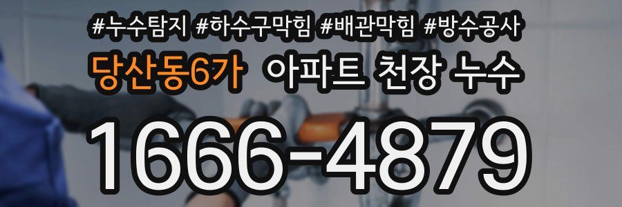 당산동6가 아파트 천장 누수