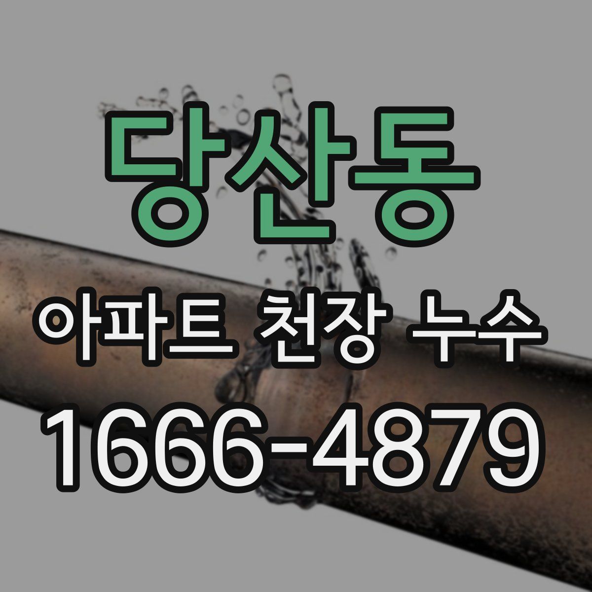 당산동 아파트 천장 누수