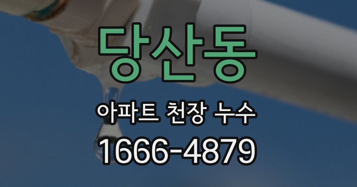 당산동 아파트 천장 누수
