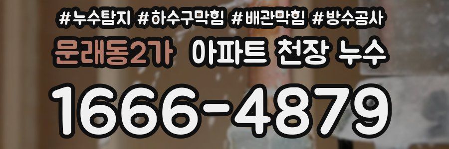 문래동2가 아파트 천장 누수