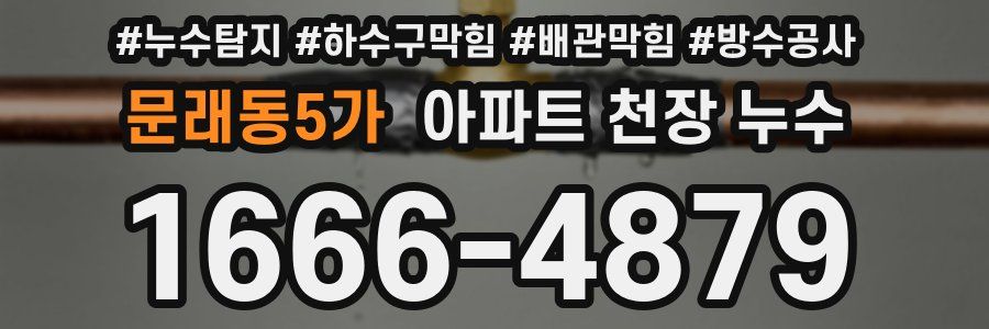 문래동5가 아파트 천장 누수