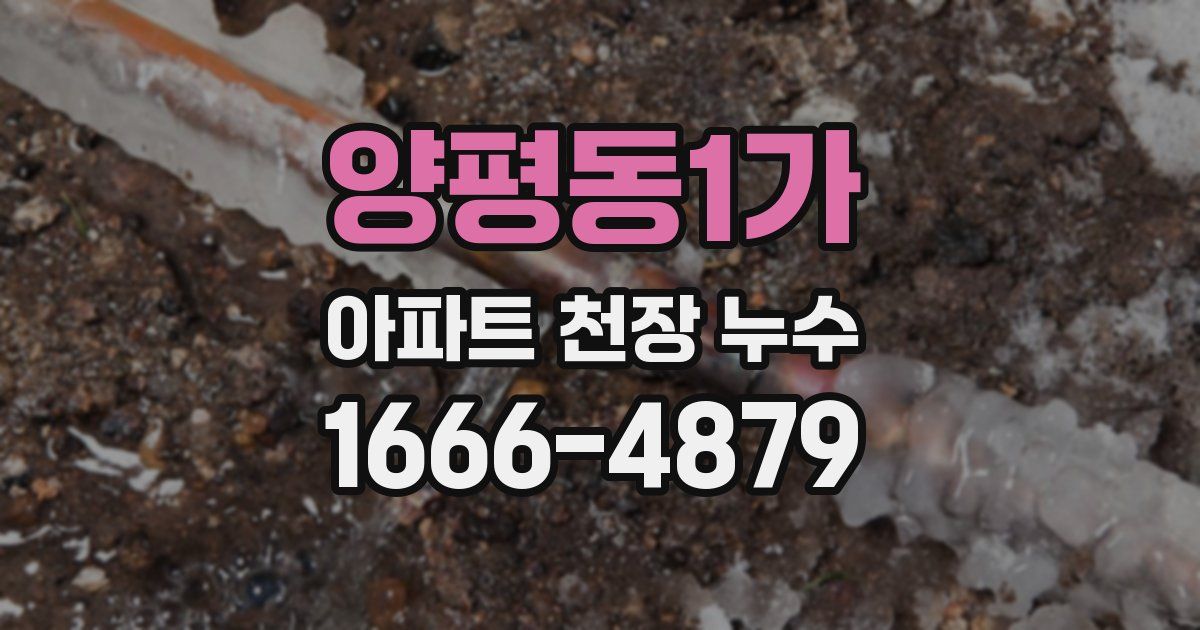 양평동1가 아파트 천장 누수