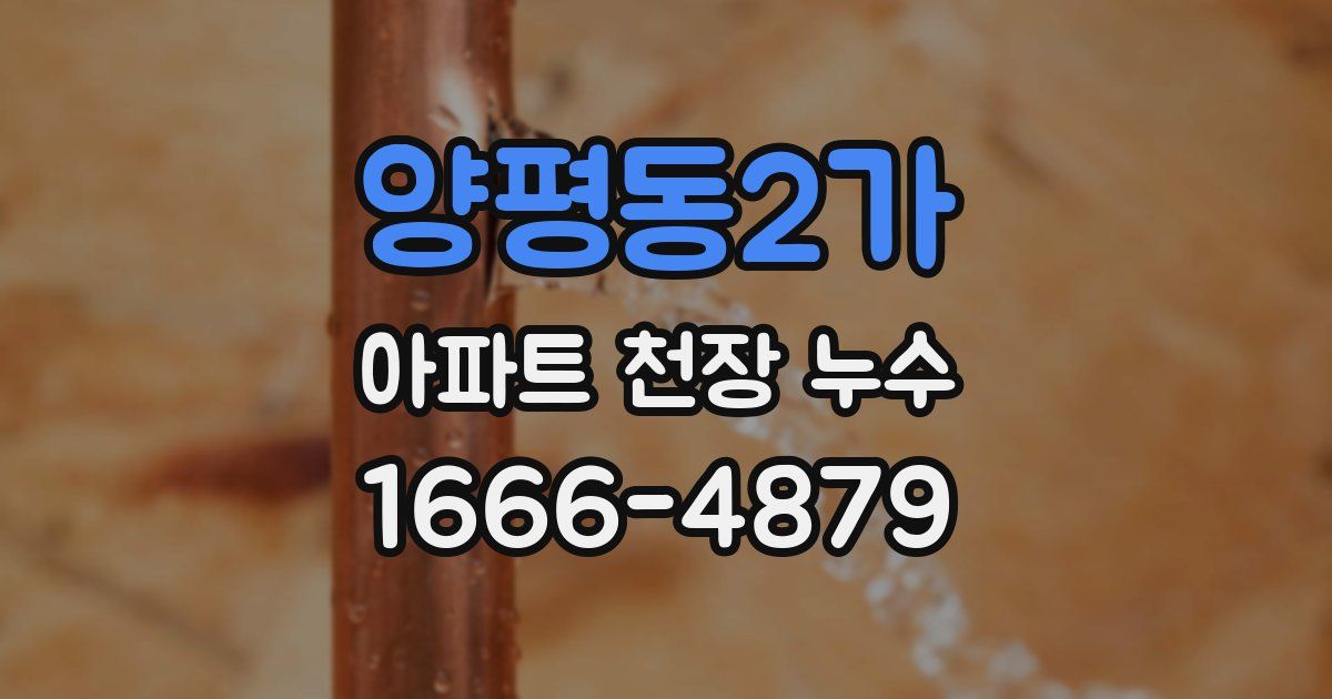 양평동2가 아파트 천장 누수