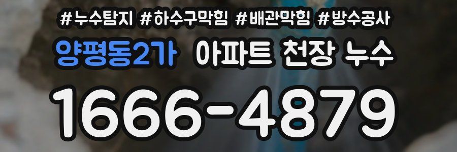 양평동2가 아파트 천장 누수