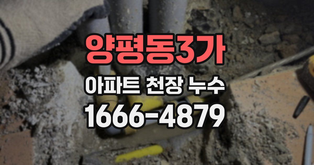 양평동3가 아파트 천장 누수