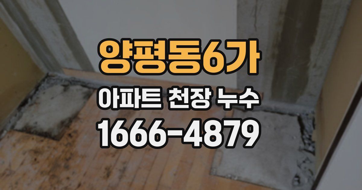 양평동6가 아파트 천장 누수