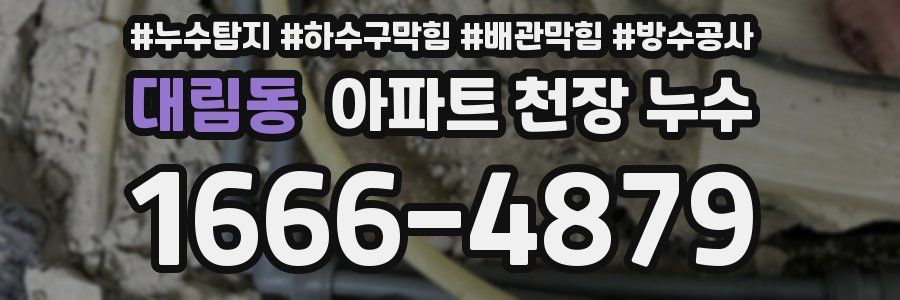 대림동 아파트 천장 누수