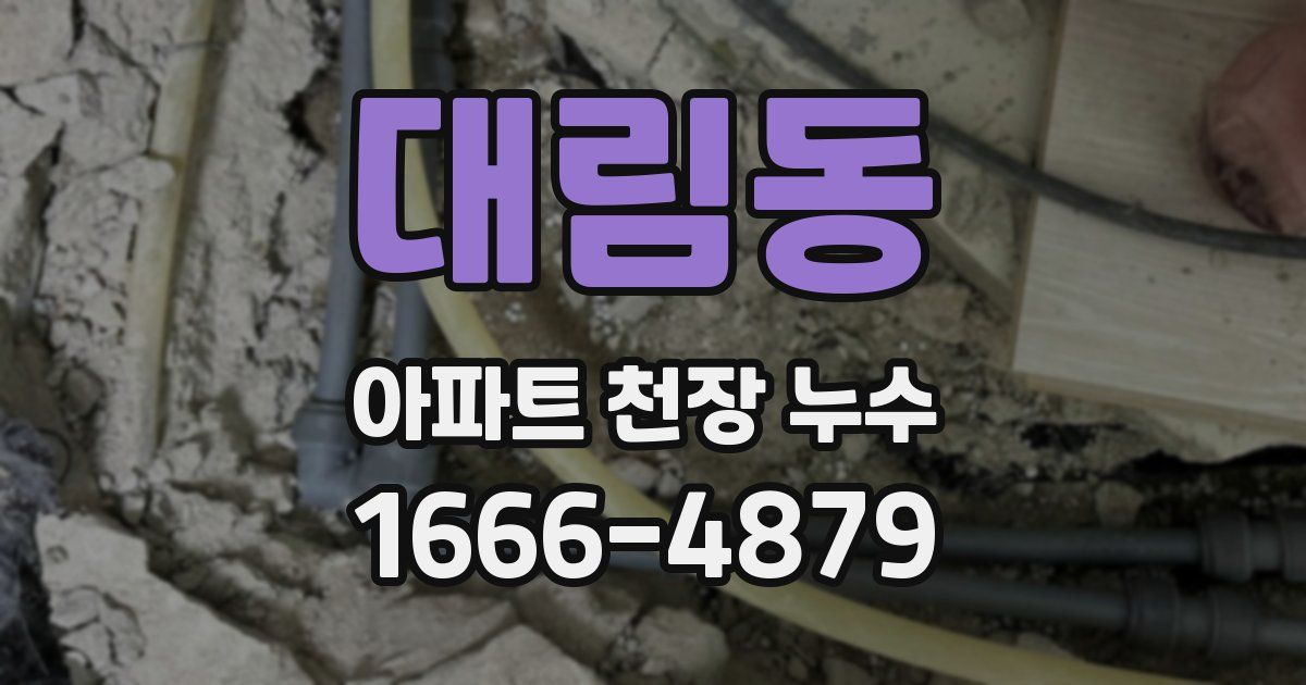 대림동 아파트 천장 누수