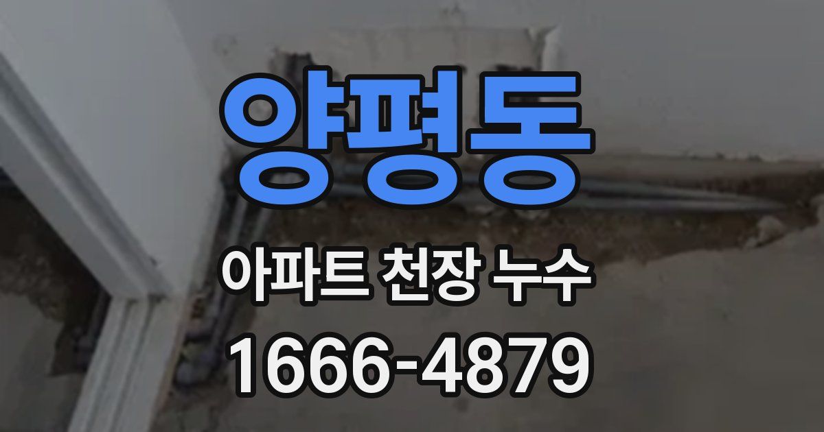 양평동 아파트 천장 누수