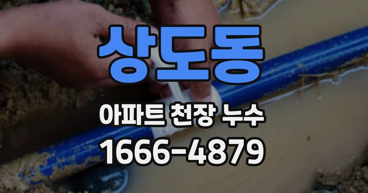 상도동 아파트 천장 누수