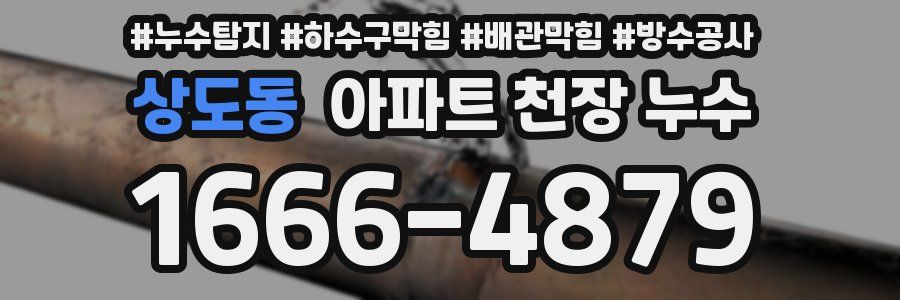 상도동 아파트 천장 누수