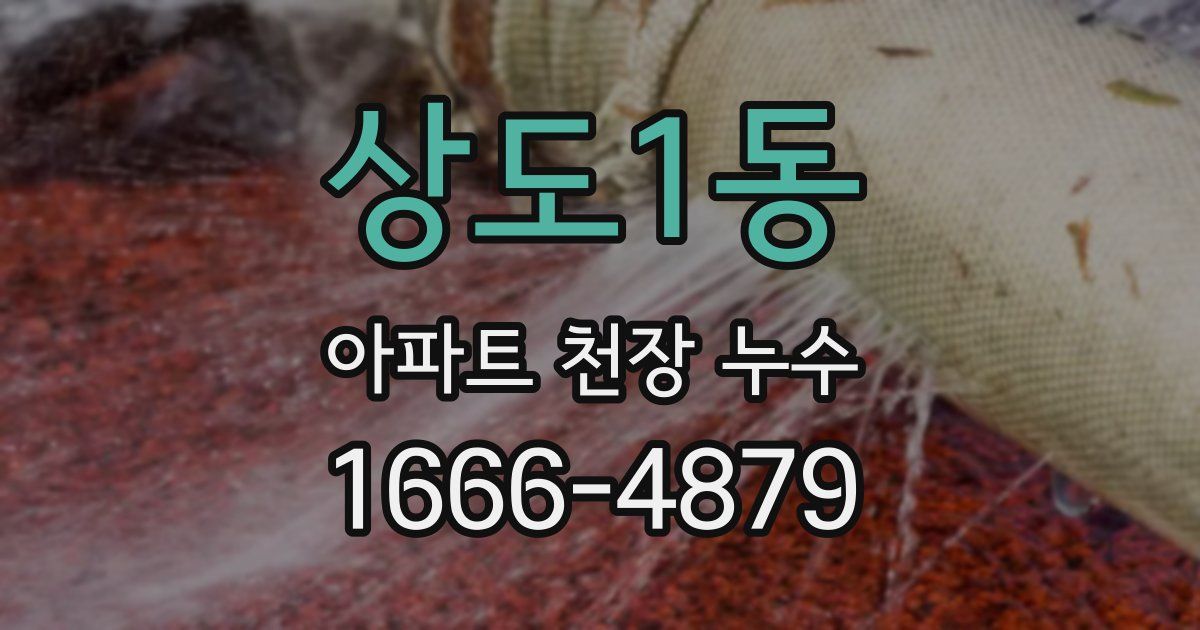 상도1동 아파트 천장 누수