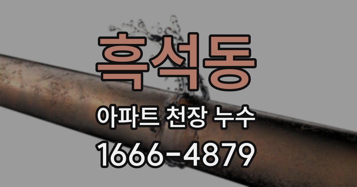 흑석동 아파트 천장 누수