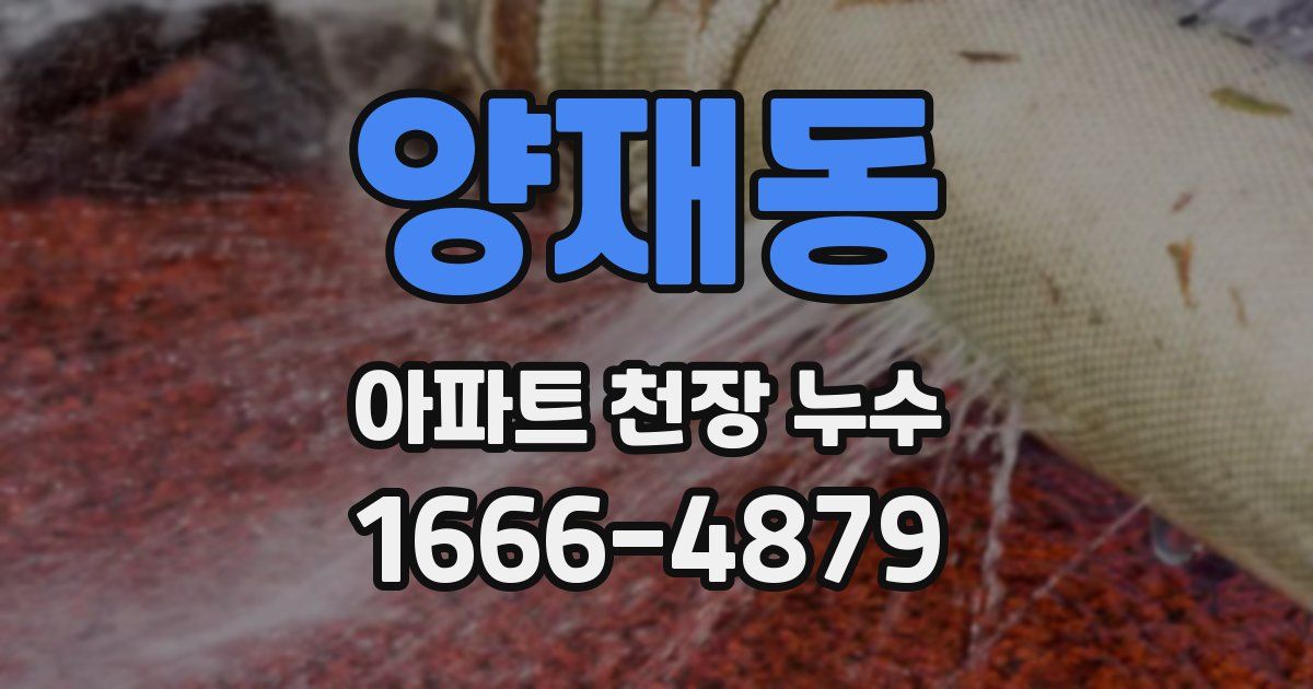 양재동 아파트 천장 누수