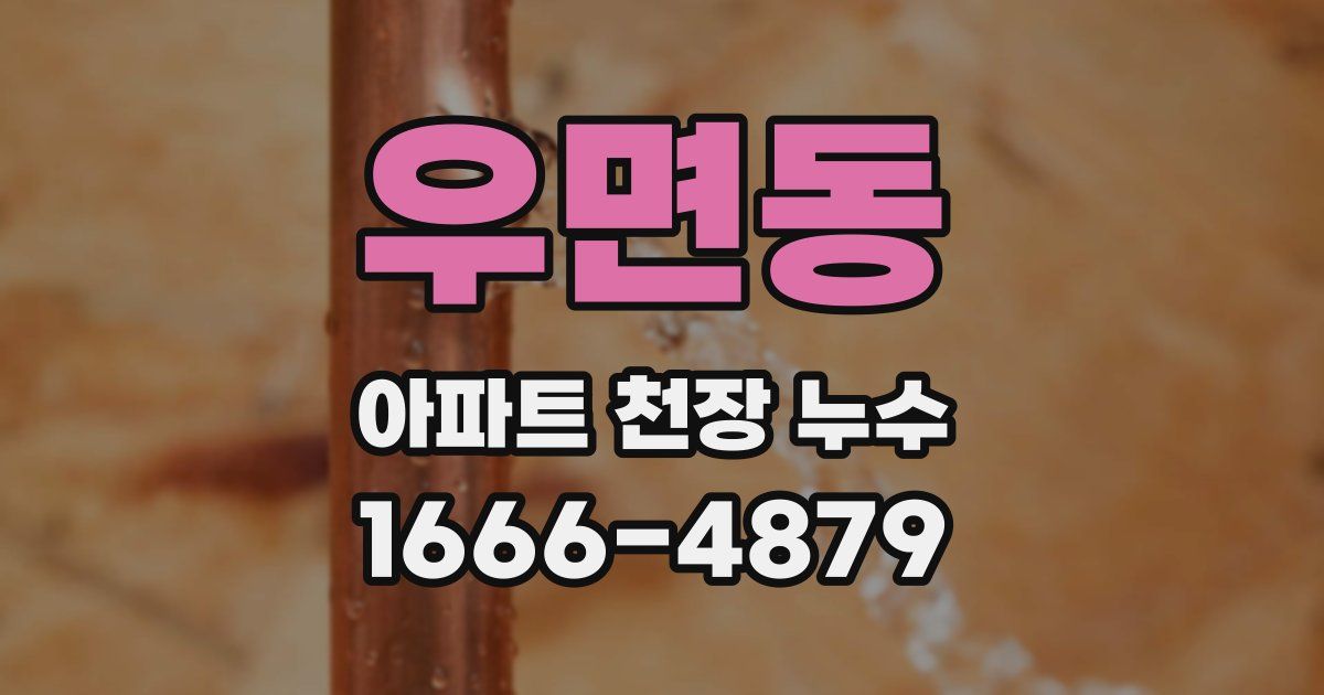 우면동 아파트 천장 누수