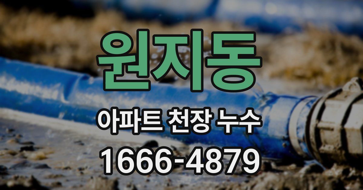 원지동 아파트 천장 누수