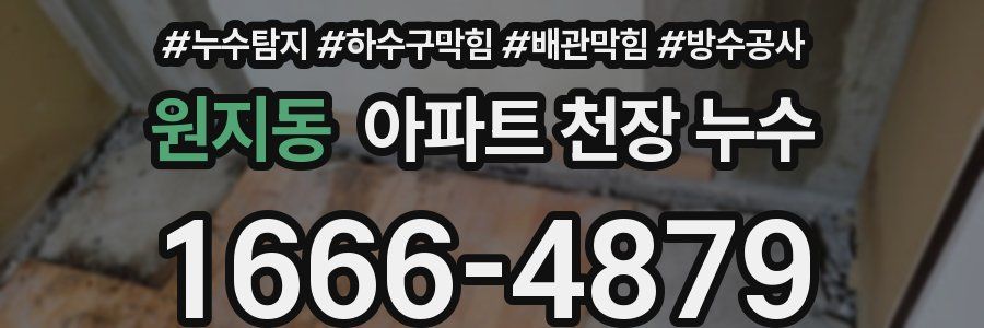 원지동 아파트 천장 누수
