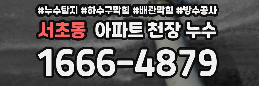 서초동 아파트 천장 누수