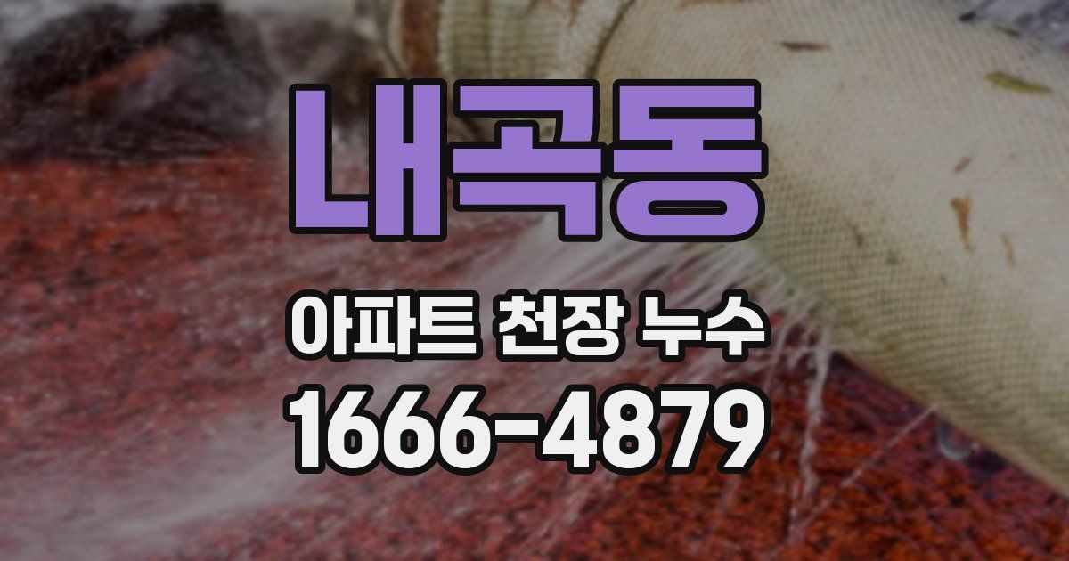 내곡동 아파트 천장 누수