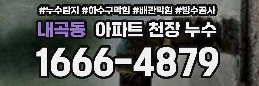 내곡동 아파트 천장 누수