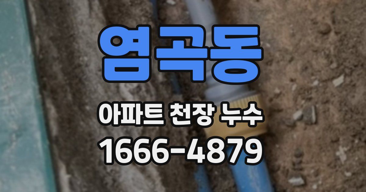 염곡동 아파트 천장 누수