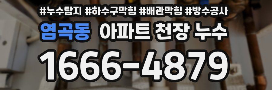 염곡동 아파트 천장 누수