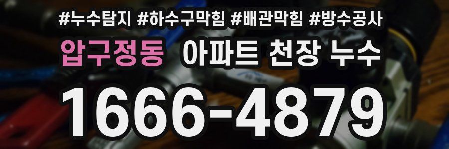 압구정동 아파트 천장 누수
