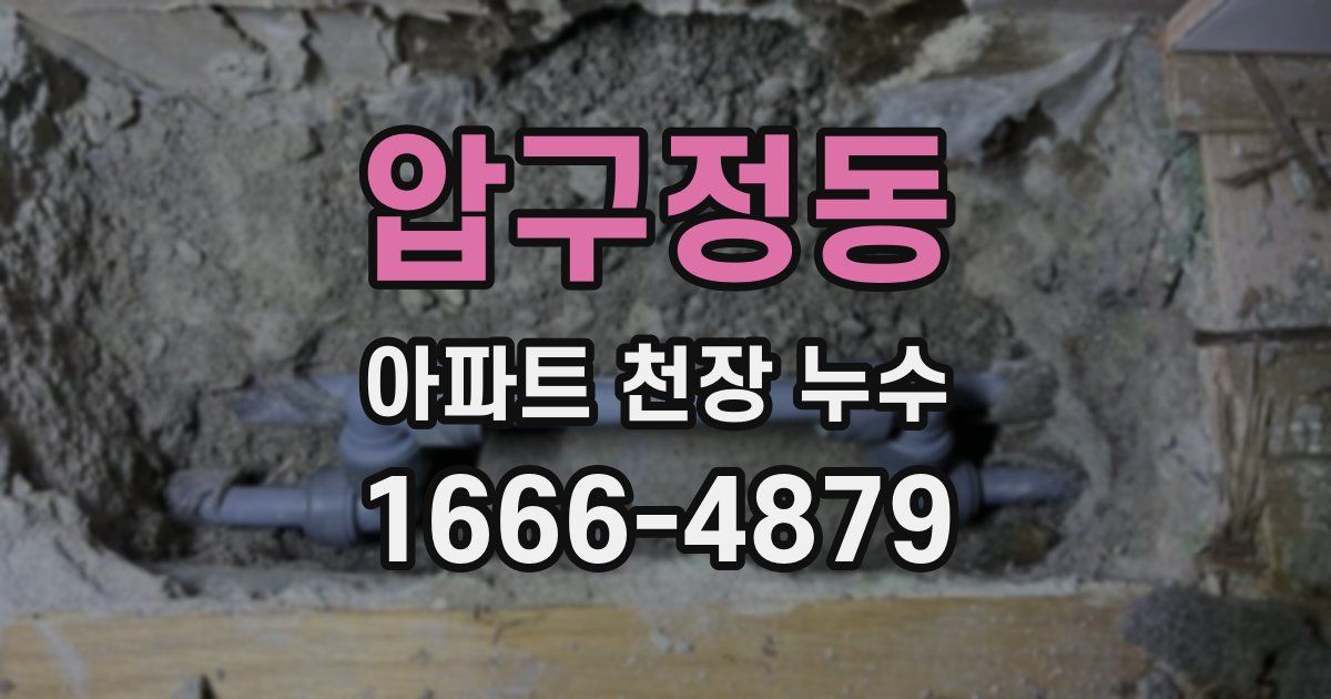 압구정동 아파트 천장 누수